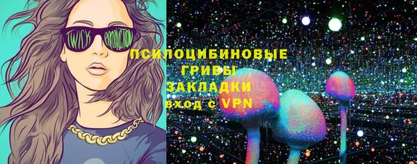 ешки Алексин