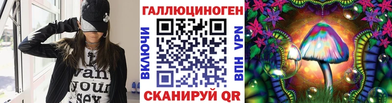 Псилоцибиновые грибы Psilocybine cubensis  Чегем 